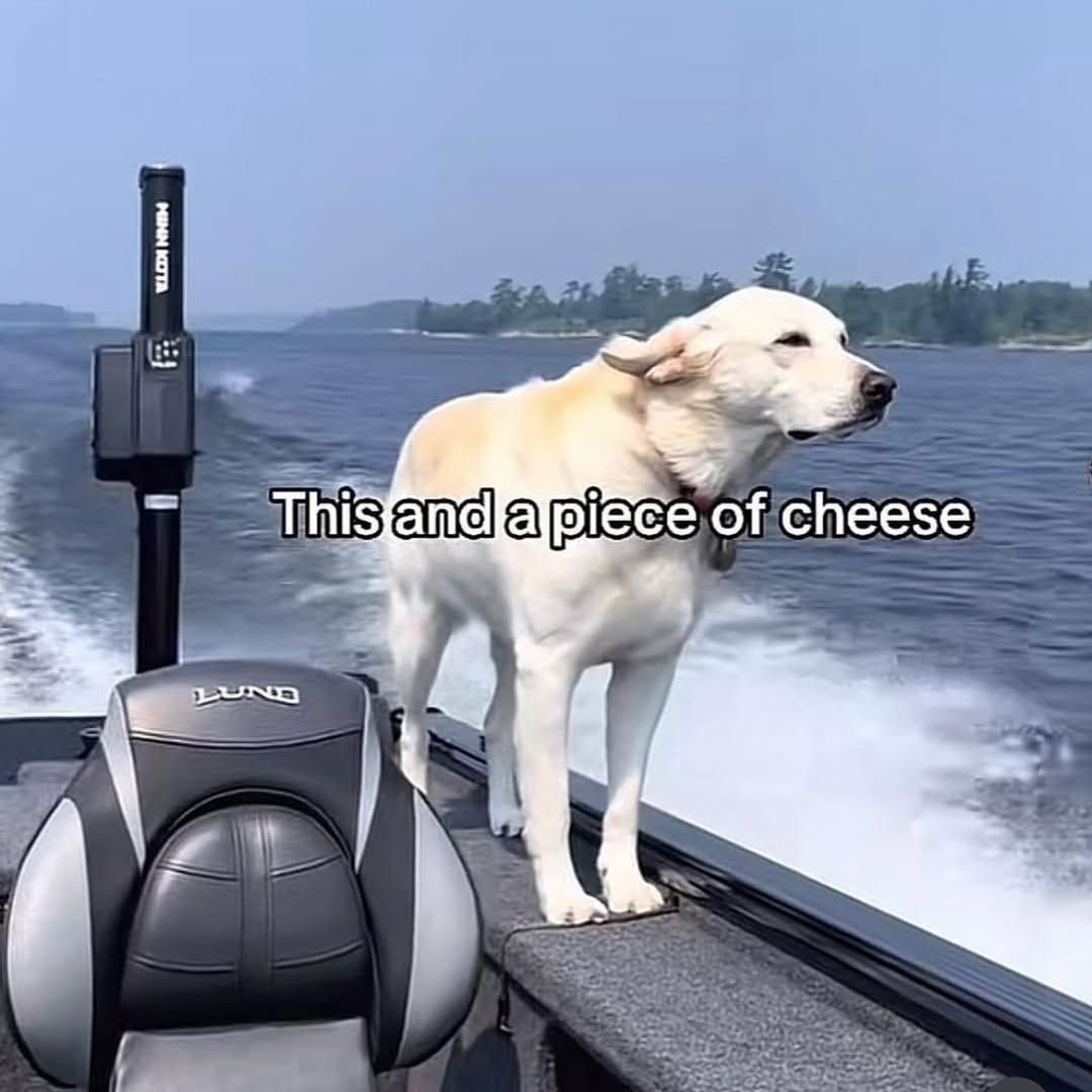 This of cheese