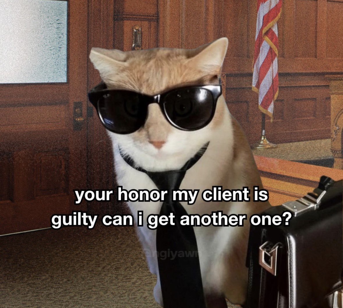 your honor my client is guilty can i get another