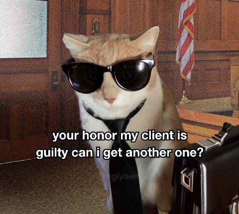 your honor my client is guilty can i get another