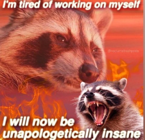 tired of working on myself 3 unapologetically insane