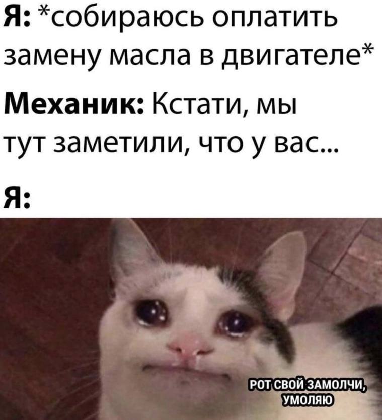 Я: *собираюсь оплатить замену масла в двигателе* Механик: Кстати, мы тут заметили, вас... РОТ СВОЙ ЗАМОЛЧИ