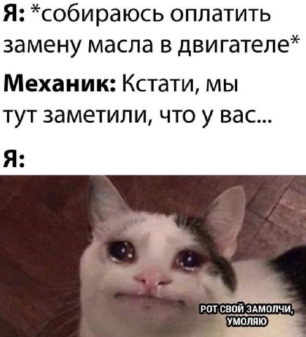 Я: *собираюсь оплатить замену масла в двигателе* Механик: Кстати, мы тут заметили, вас... РОТ СВОЙ ЗАМОЛЧИ