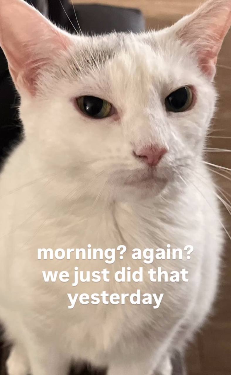 again? just did that yesterday