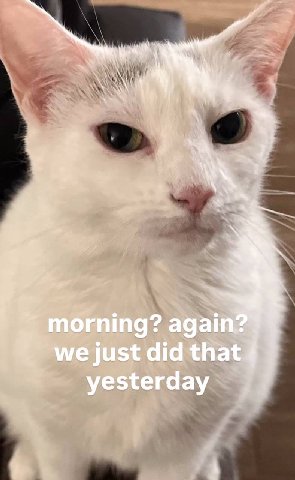 again? just did that yesterday