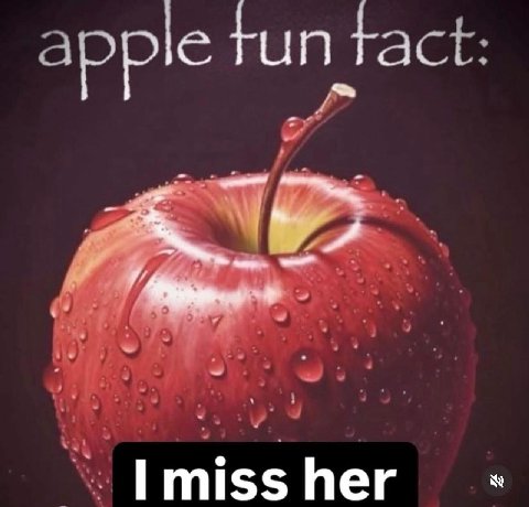 FUN Tox miss her