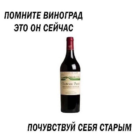 ПОМНИТЕ ВИНОГРАД ЭТО ОН СЕЙЧАС ПОЧУВСТВУЙ СЕБЯ СТАРЫМ