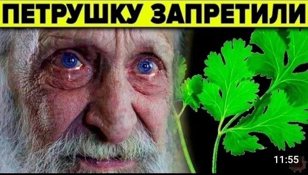 ПЕТРУШКУ ЗАПРЕТИЛИ 11:55