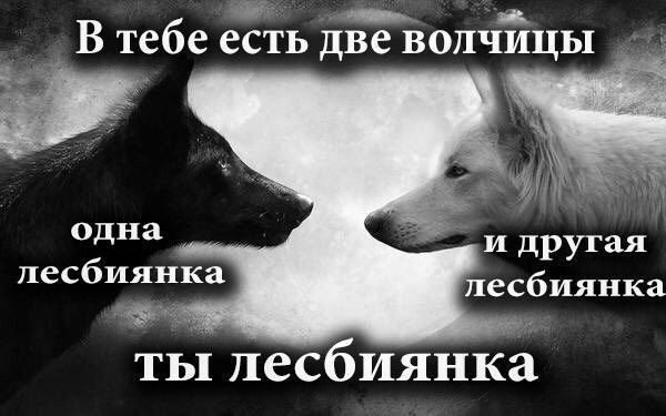 В тебе есть две волчицы одна и другая лесбиянка лесбиянка ты лесбиянка