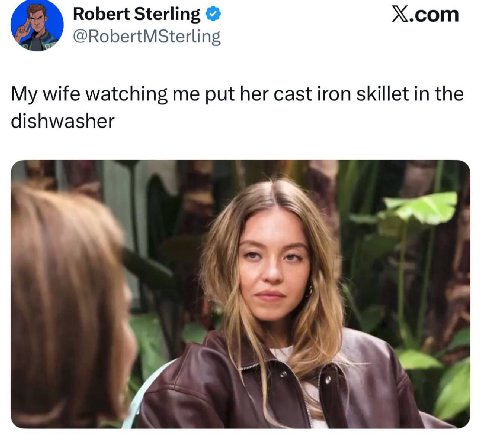 Robert Sterling X.com @RobertMSterling My wife watching me put her cast iron skillet in the dishwasher 4