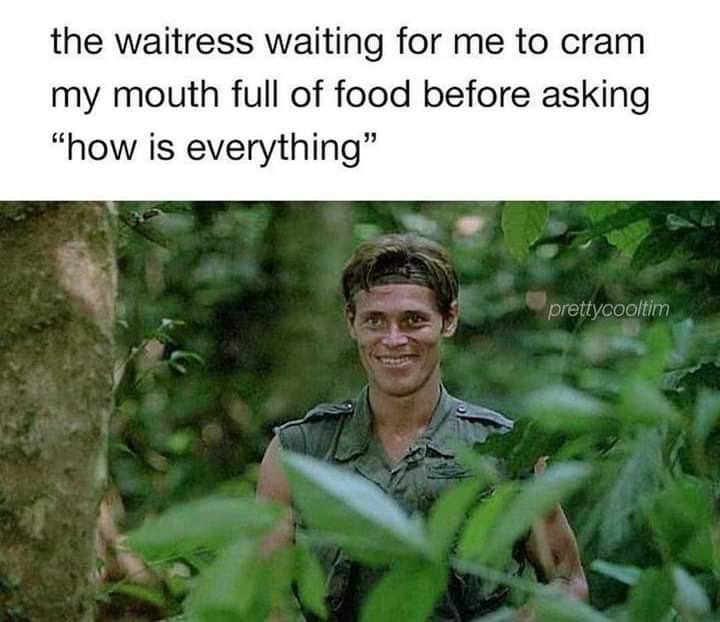 the waitress waiting for to cram my mouth full of food before asking “how is everything”