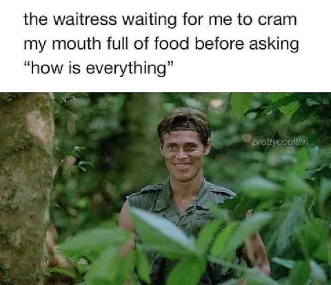 the waitress waiting for to cram my mouth full of food before asking “how is everything”