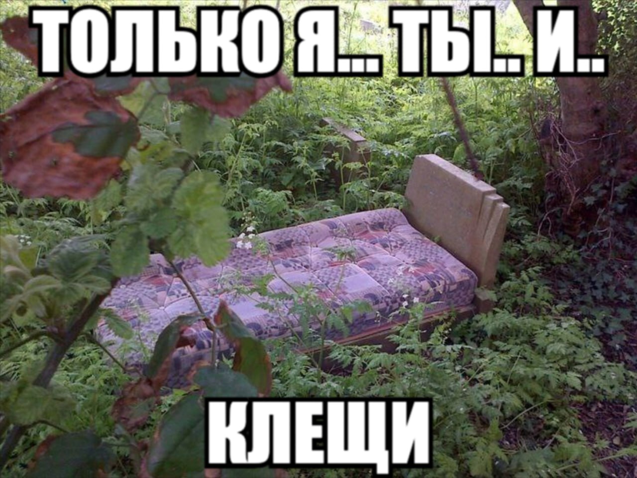 a только Я ann И. КЛЕЩИ