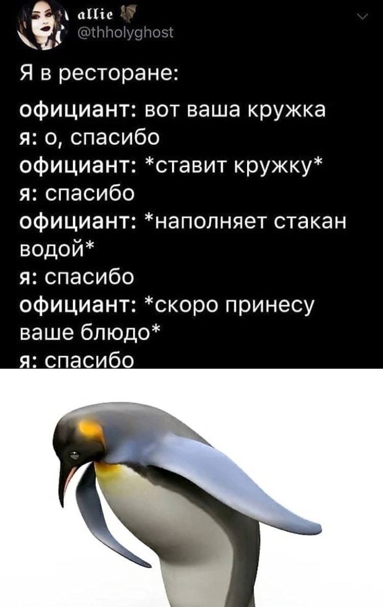 @thholyghost Я в ресторане: официант: вот ваша кружка я: о, спасибо официант: *ставит кружку* я: спасибо официант: *наполняет стакан водой* я: спасибо официант: *скоро принесу ваше блюдо* я: спасибо