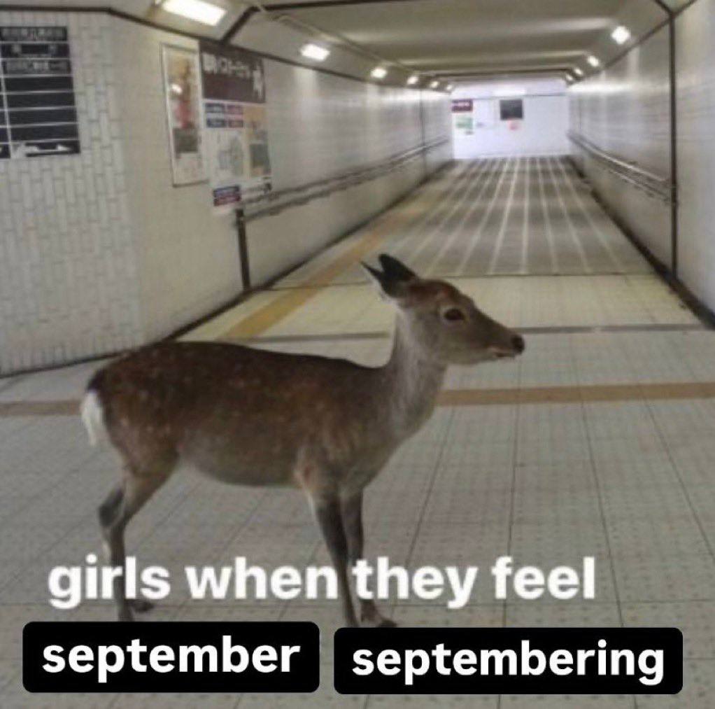 girls when they feel september septembering