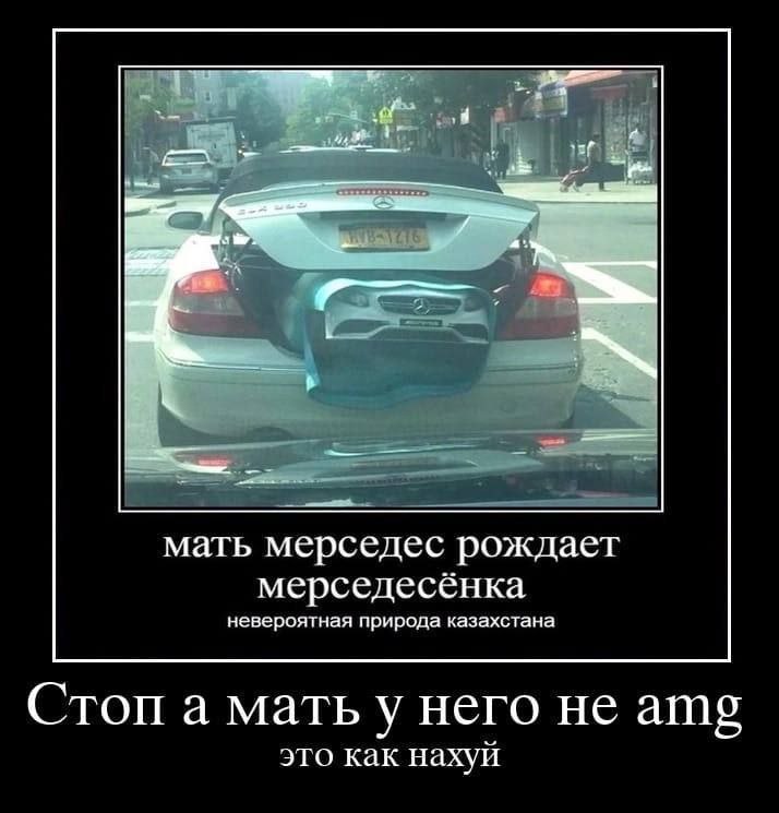 мать мерседес рождает мерседесёнка невероятная природа казахстана Стоп а матьу него не amg это как нахуй
