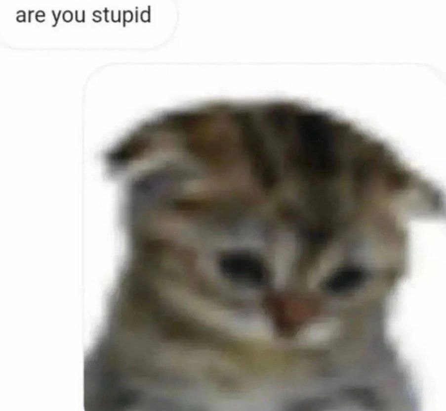 are you stupid
