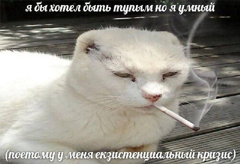 я хотел но я умный у меня екзистенциальный кризис)