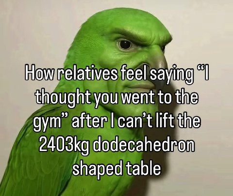 How relatives feel saying thought you went to the gym’ the dodecahedron shaped table
