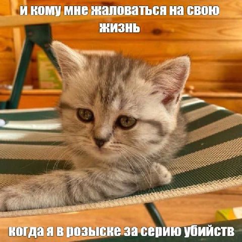 И ROMY мне жаловаться свою ЖИЗНЬ 77 когда я в розыске за серию убийств