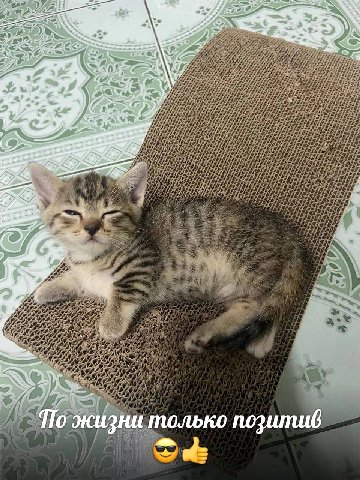 4 По жизни только позитив