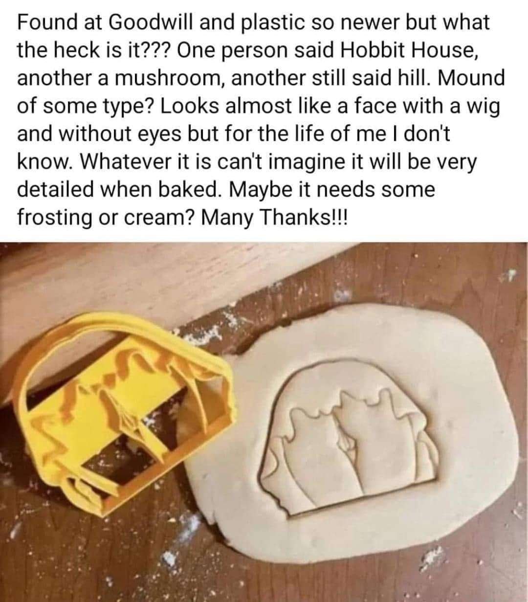 Found at Goodwill and plastic so newer but what the heck is it??? One person said Hobbit House, another a mushroom, another still said hill. Mound of some type? Looks almost like a face with a wig and