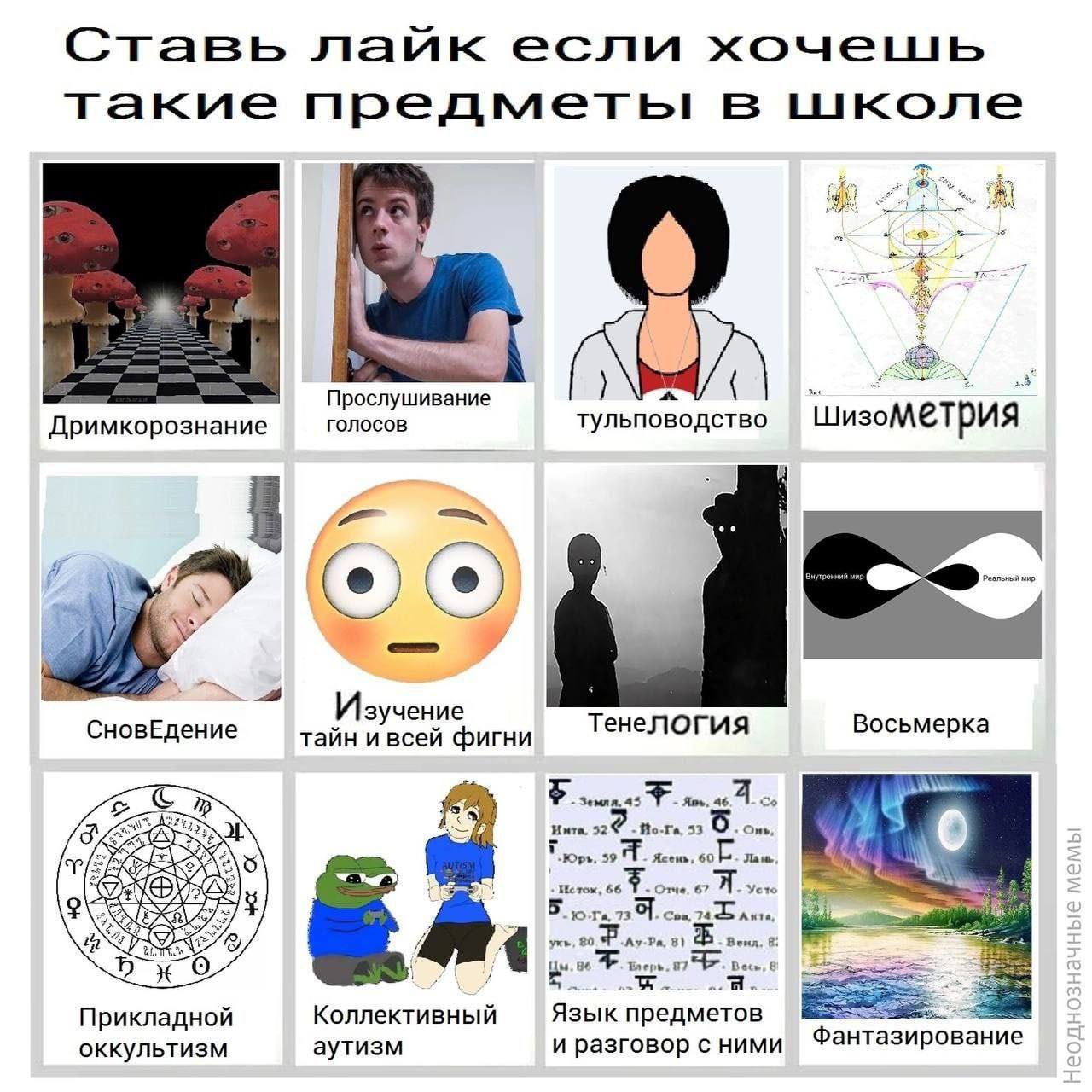 Ставь лайк если хочеишиь такие предметы в школе Прослушивание Дримкорознание голосов тульповодство pus i СновЕдение Изучение Тенелогия Восьмерка тайн и всей фигни «А Инта. 52 53 One, Ясень, 60 39 Отче