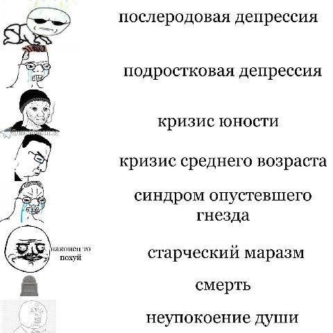 послеродовая депрессия подростковая депрессия кризис юности кризис среднего возраста fry синдром опустевшего гнезда наконец TO похуй старческий маразм смерть неупокоение души