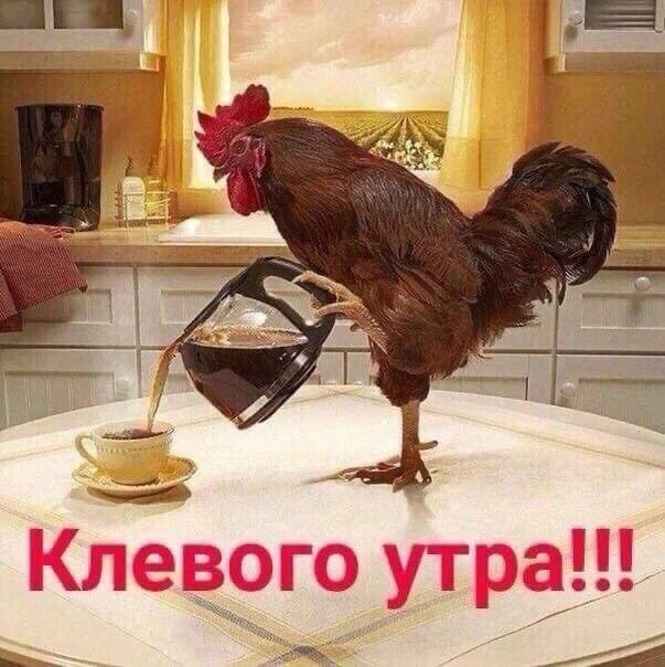 1 i] A Клевого ytpa!!! <4