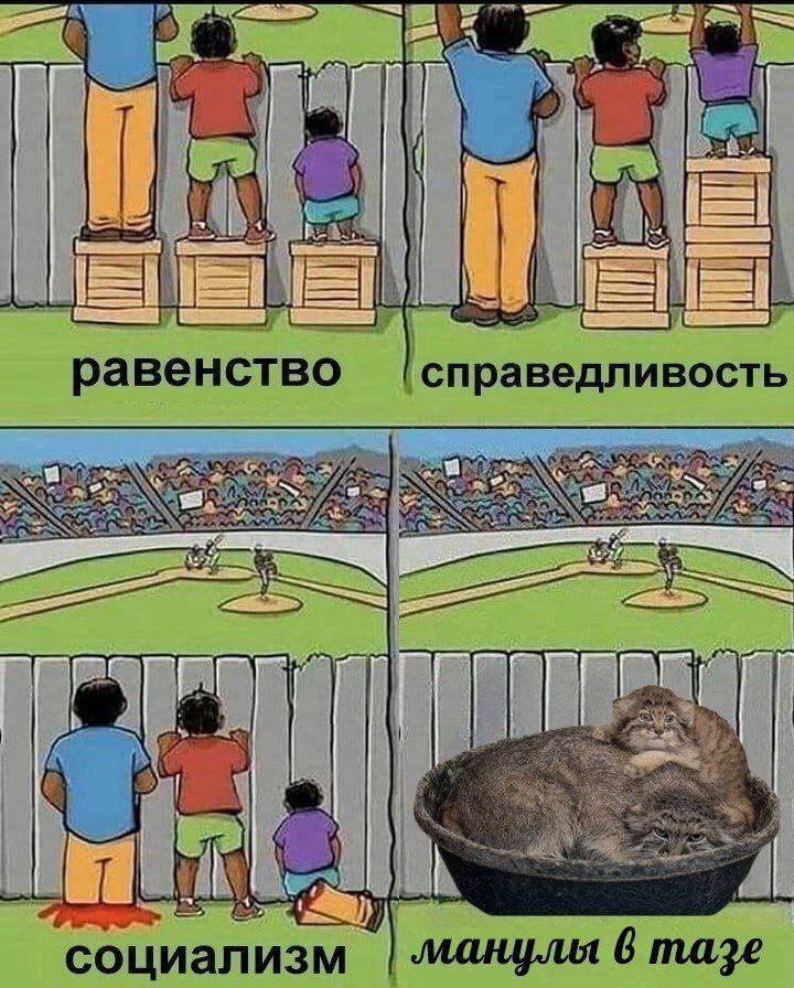 4 равенство [справедливость социализм 6 maze