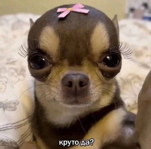 круто да?
