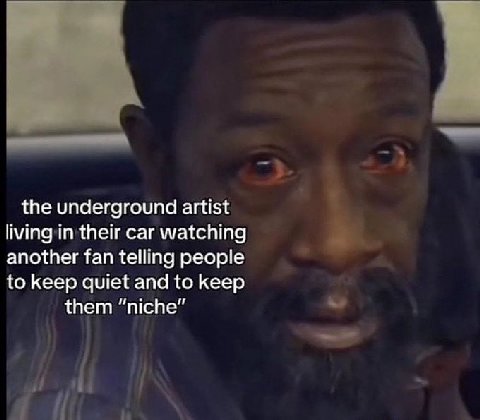 the underground artist living in their car watching another fan telling people to keep quiet and to keep them “niche”