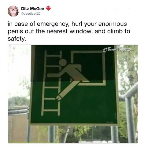 Ditz Мсбее @deedles420 in case of emergency, hurl your enormous penis out the nearest window, and climb to safety.