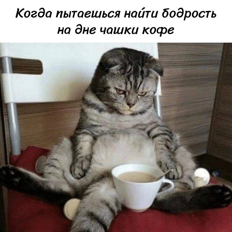 Когда пытаешься найти бодрость на дне чашки кофе