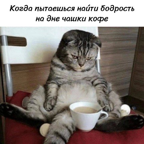Когда пытаешься найти бодрость на дне чашки кофе