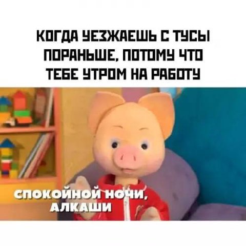 КОГДА ЧЕЗЖАЕШЬ С ТУСЫ ПОРАНЬШЕ, ПОТОМУ ЧТО ТЕБЕ УТРОМ НА РАБОТУ 7 5 АЛКАШИ