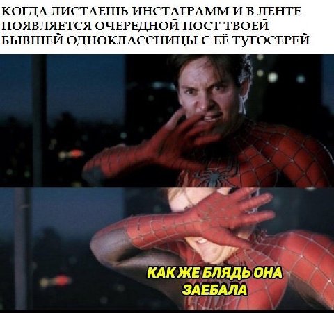 КОГДА ЛИСТАЕПТЬ ИНСТАГРАММ ЛЕНТЕ ПОЯВЛЯЕТСЯ ОЧЕРЕДНОИ ПОСТ ТВОЕИ БЫВШЕИ ОДНОКЛАССНИЦЫ С ЕЁТ УГОСЕРЕИ КАК ЖЕ БЛЯДЬ ОНА ЗАЕБАЛА