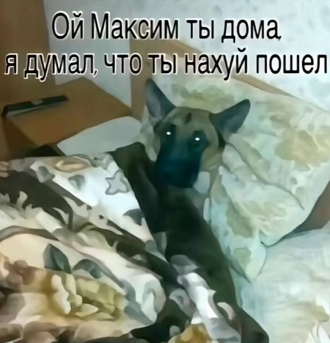 CUM ТЫ Я Умал чтоты ‘нахуй пошел 4 5