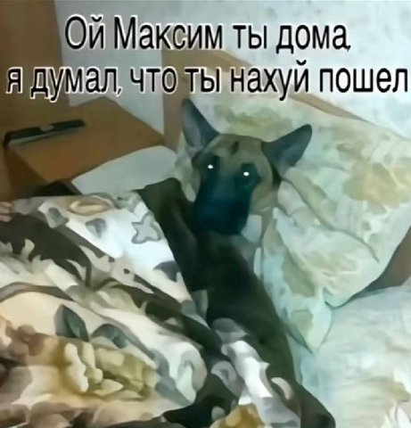 CUM ТЫ Я Умал чтоты ‘нахуй пошел 4 5