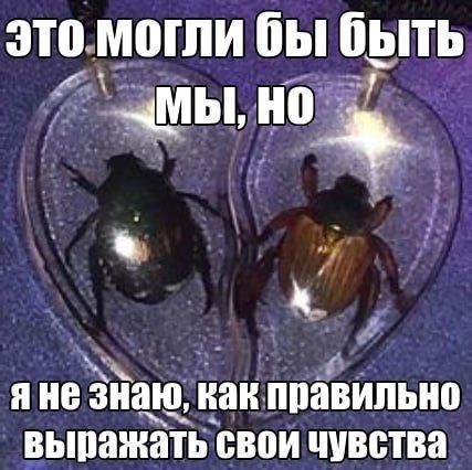 это могли бы быть яне знаю, как правильно выражать свои чувства