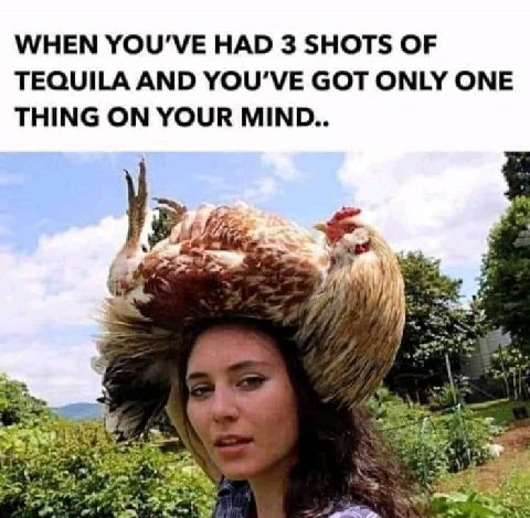 WHEN YOU'VE HAD 3 SHOTS OF TEQUILA AND GOT ONLY ONE THING ON YOUR MIND.. и 5. a