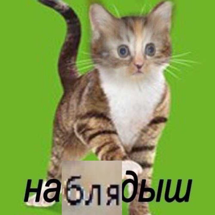 4 4