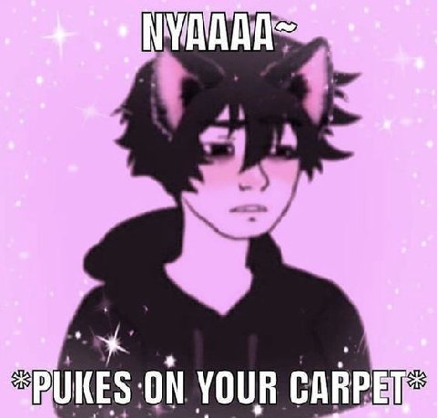 YOUR