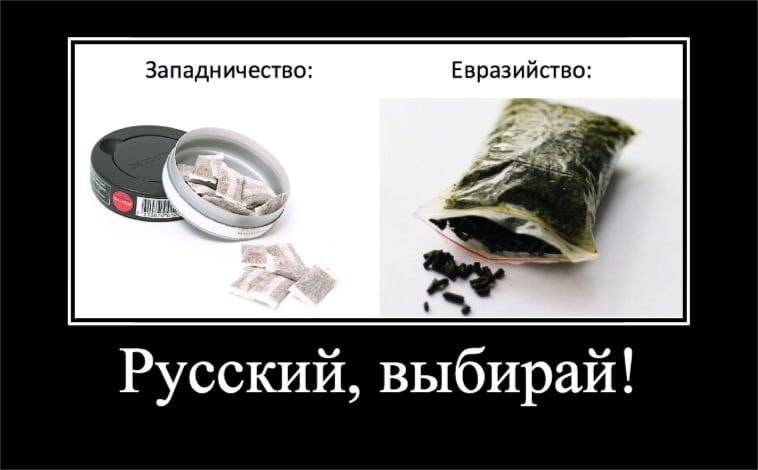 Западничество: Евразийство: Русский, выбирай!