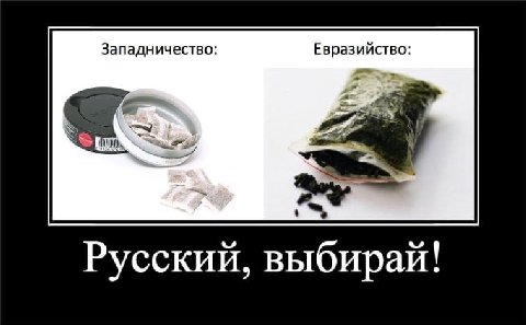 Западничество: Евразийство: Русский, выбирай!
