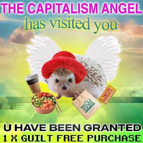 ANGEL visited you" HAVE BEEN GRAI 14 GUILT FREE PURCHASE
