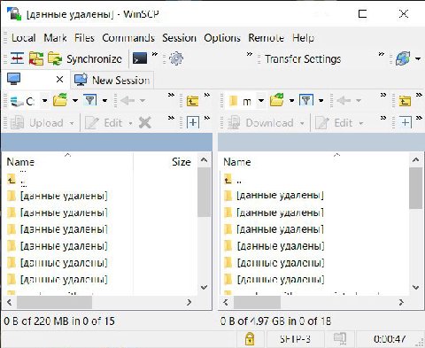 [данные удалены] WinSCP О Local Mark Files Commands Session Options Remote Help Synchronize Transfer Settings У New Session Мате Size Мате [данные удалены] [данные удалены] [данные удалены] [данные уд