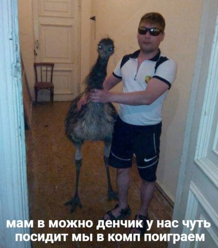 мам в можно денчик у нас чуть посидит мы в комп поиграем
