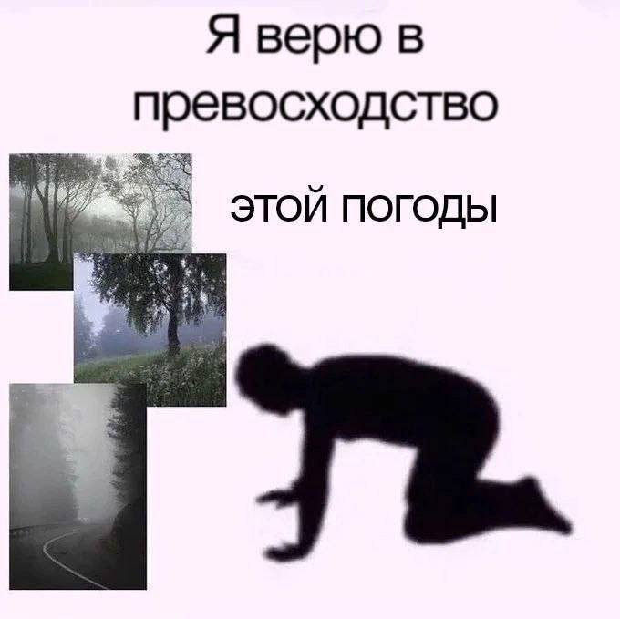 Я верю в превосходство ЭТОЙ ПОГОДЫ