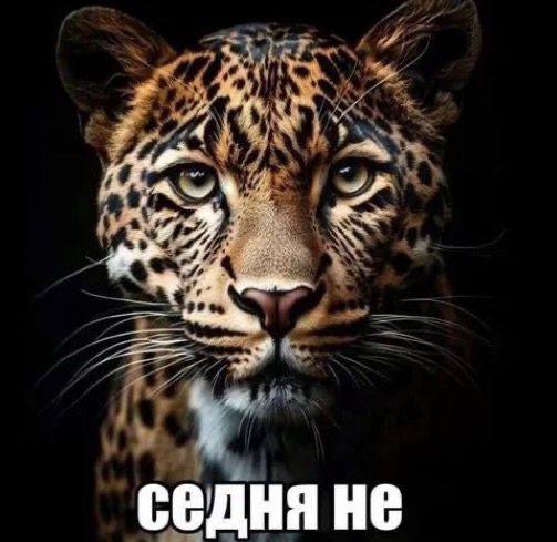он: давай расстанемся

я, которая пользуюсь всеми его платными подписками: