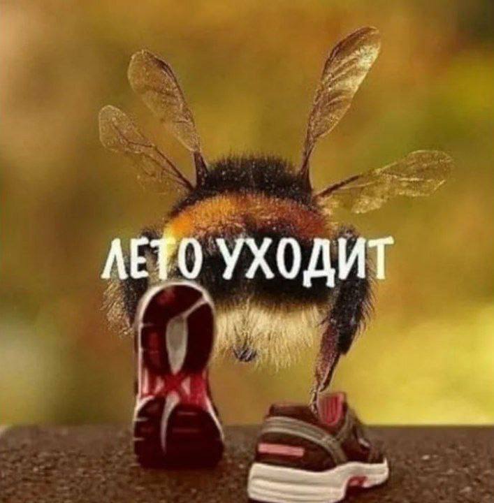 ЛЕТО УХОДИТ